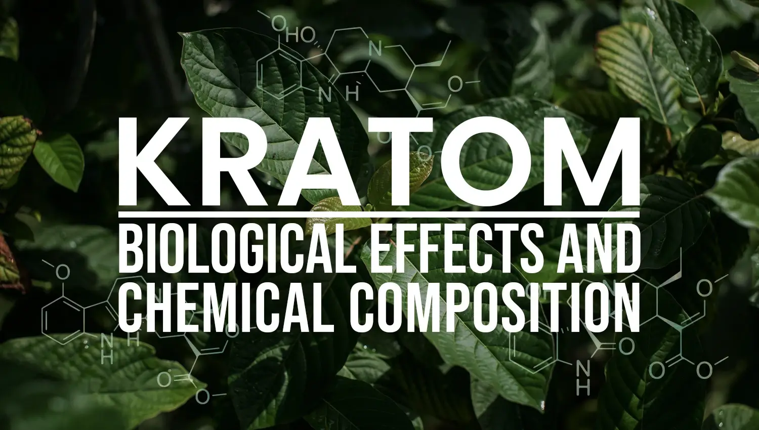 Kratom - Biological Effects and Chemical Composition