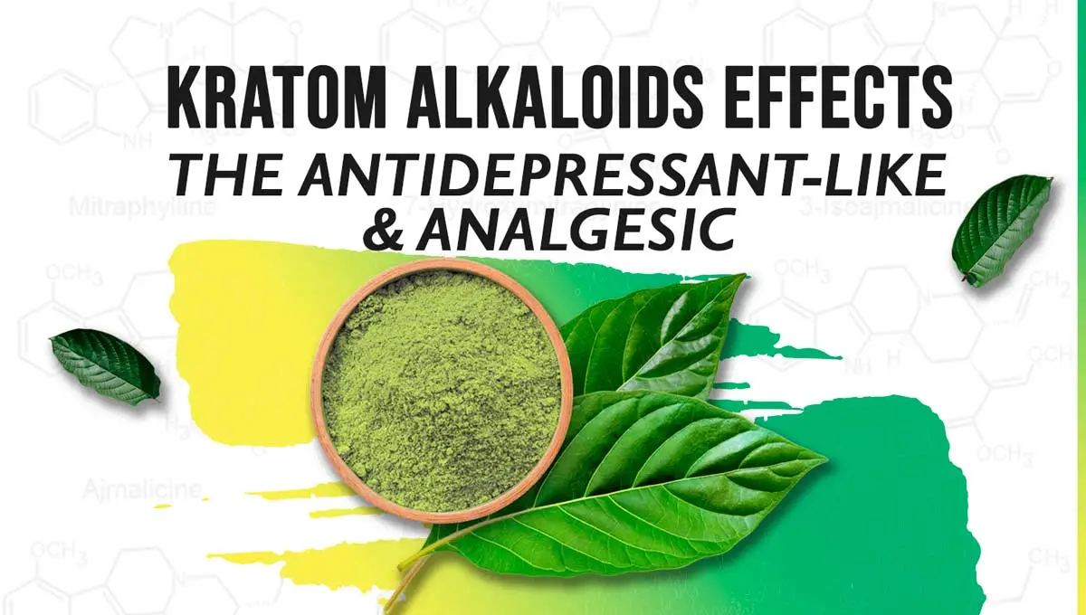 The Antidepressant-Like and Analgesic Effects of Kratom