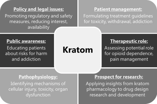 Kratom key considerations
