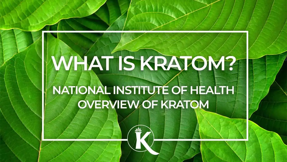 KL-what-is-kratom-NIH-kratom-lords