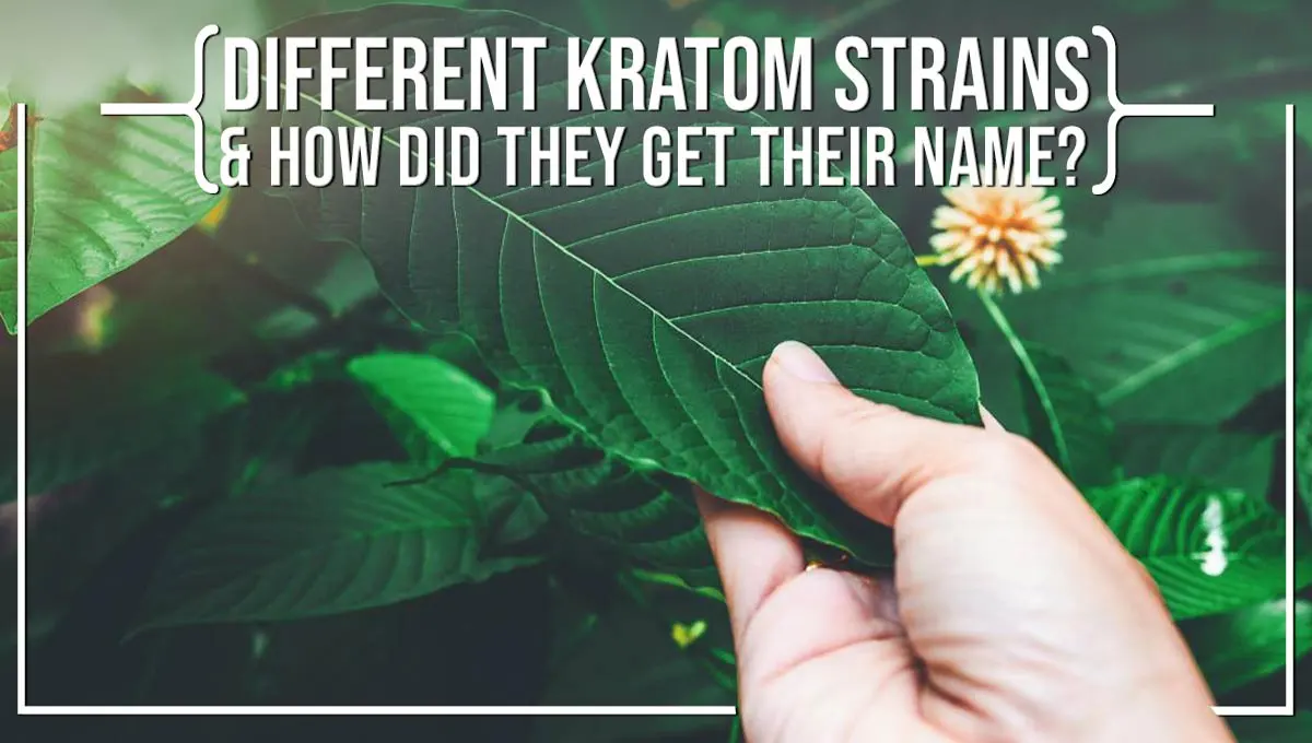 different kratom strains colors names