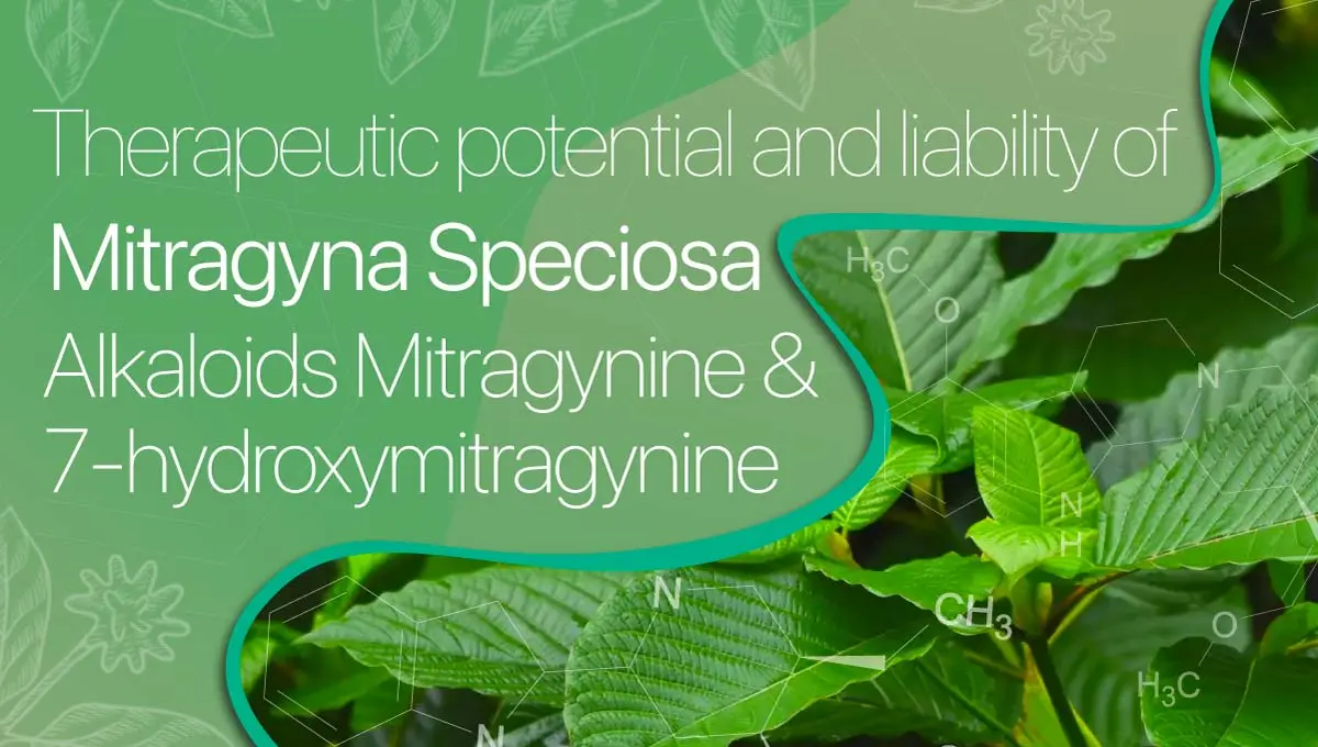 KL-Abuse-liability-and-therapeutic-potential-of-the-Mitragyna