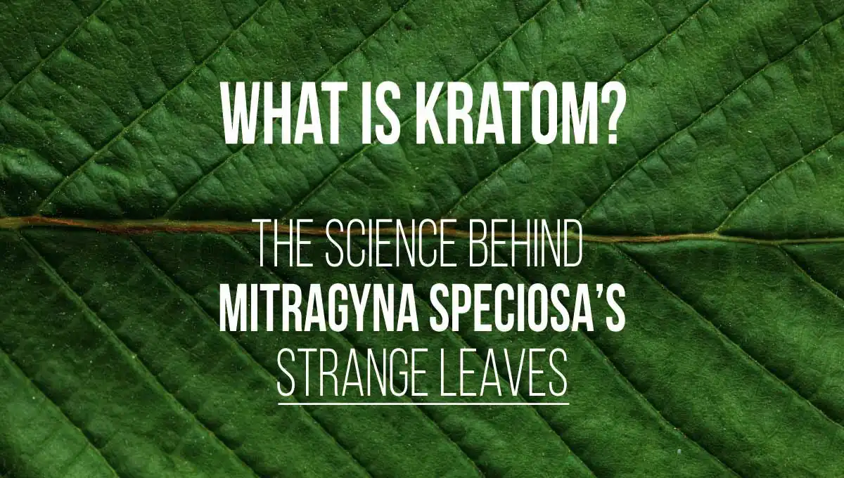 KL-What-is-kratom_science