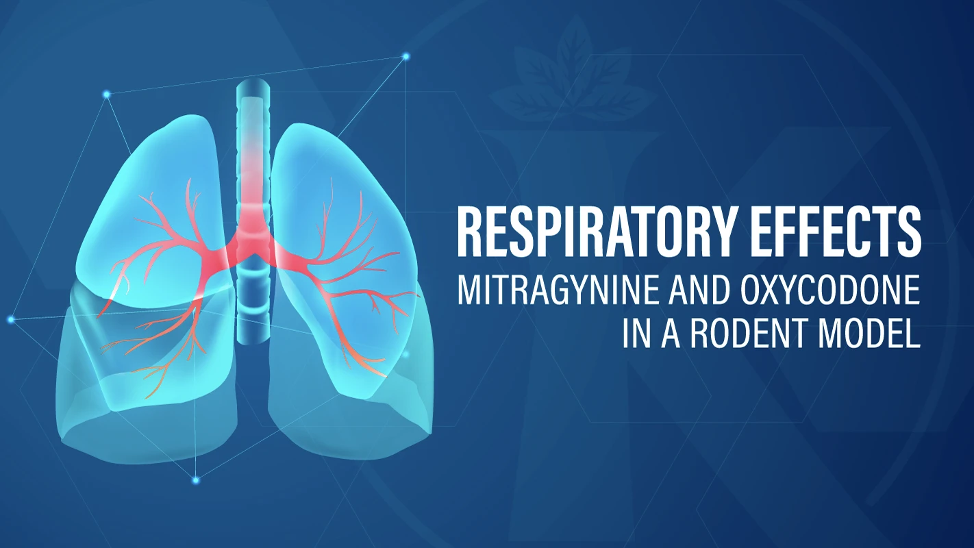 Respiratory effects of oral mitragynine and oxycodone in a rodent model