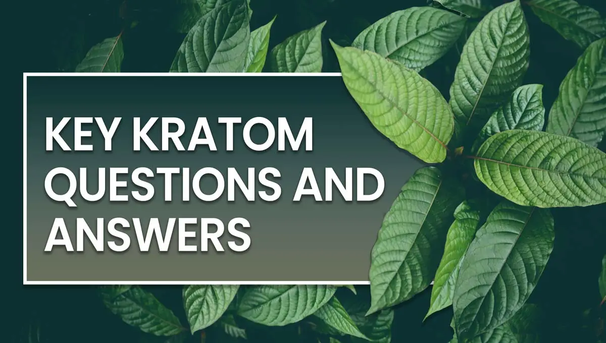 KL-Key-kratom-questions-and-answers-kratomlords