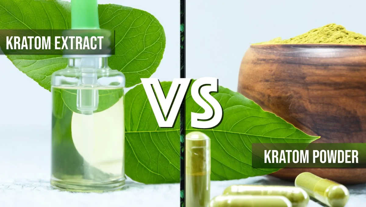 What is Kratom? Extract vs Powder: Which One Is Right for You?