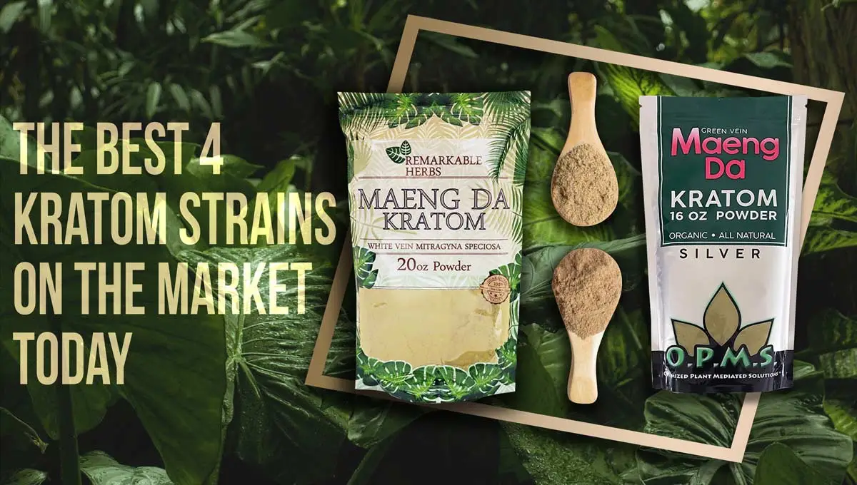 The Best 4 Kratom Strains on the Market Today