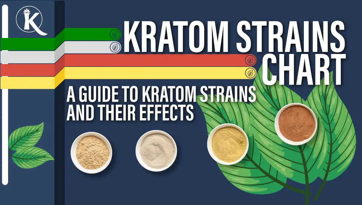 kratom strains chart 2024