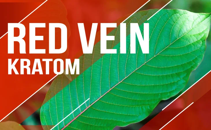 Buy Red Vein Kratom - Category - Kratom Lords